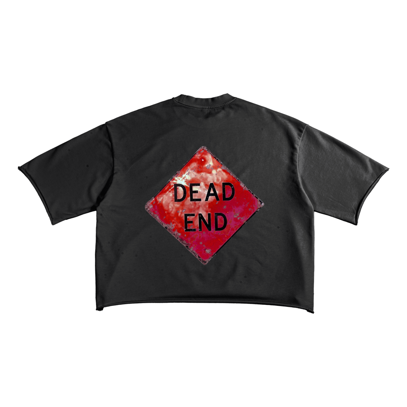 Dead End Evil Side Oversized Crop Tee