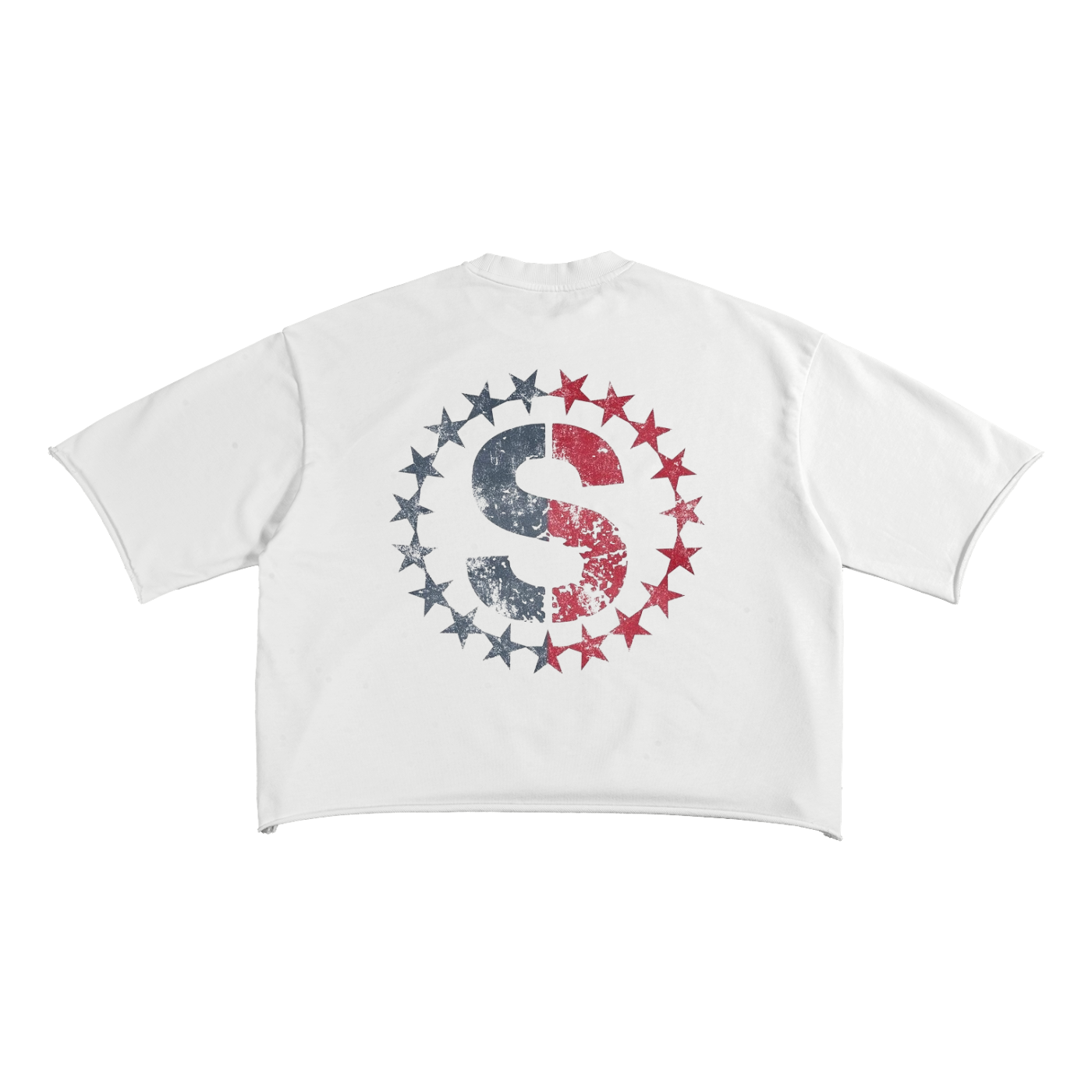 Ski Club Original Oversized Crop T Shirt